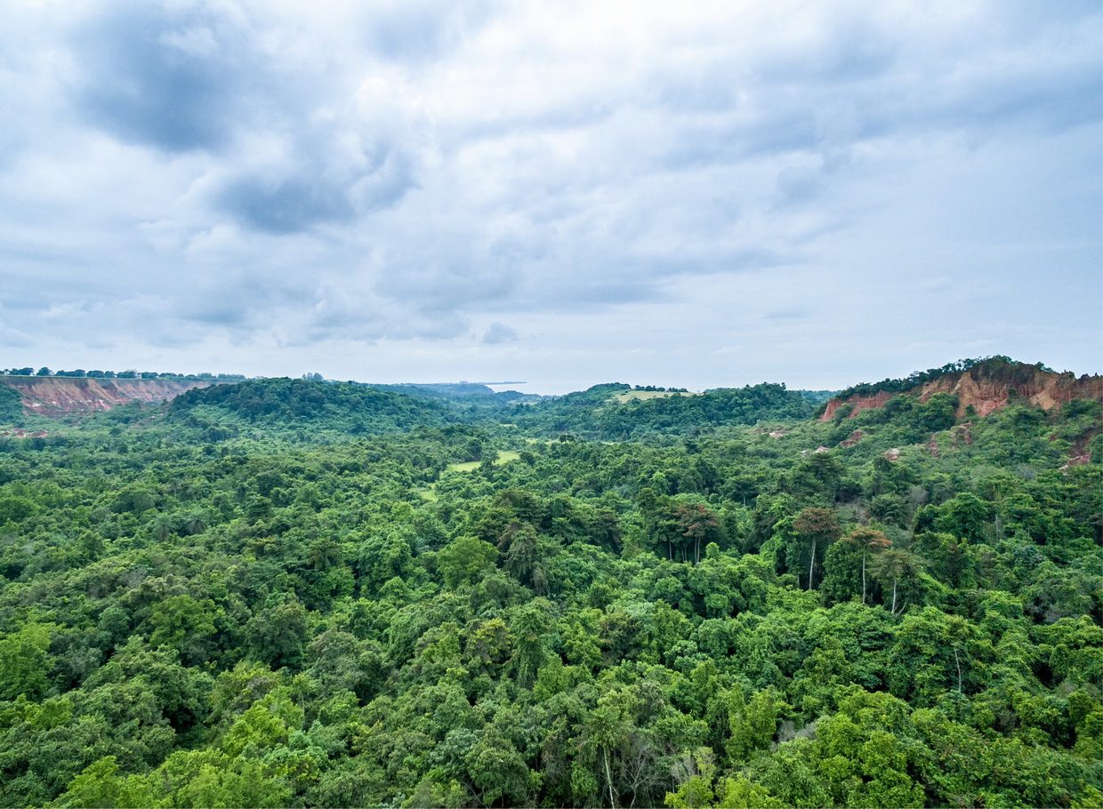 CONGO BRAZZAVILLE () resize