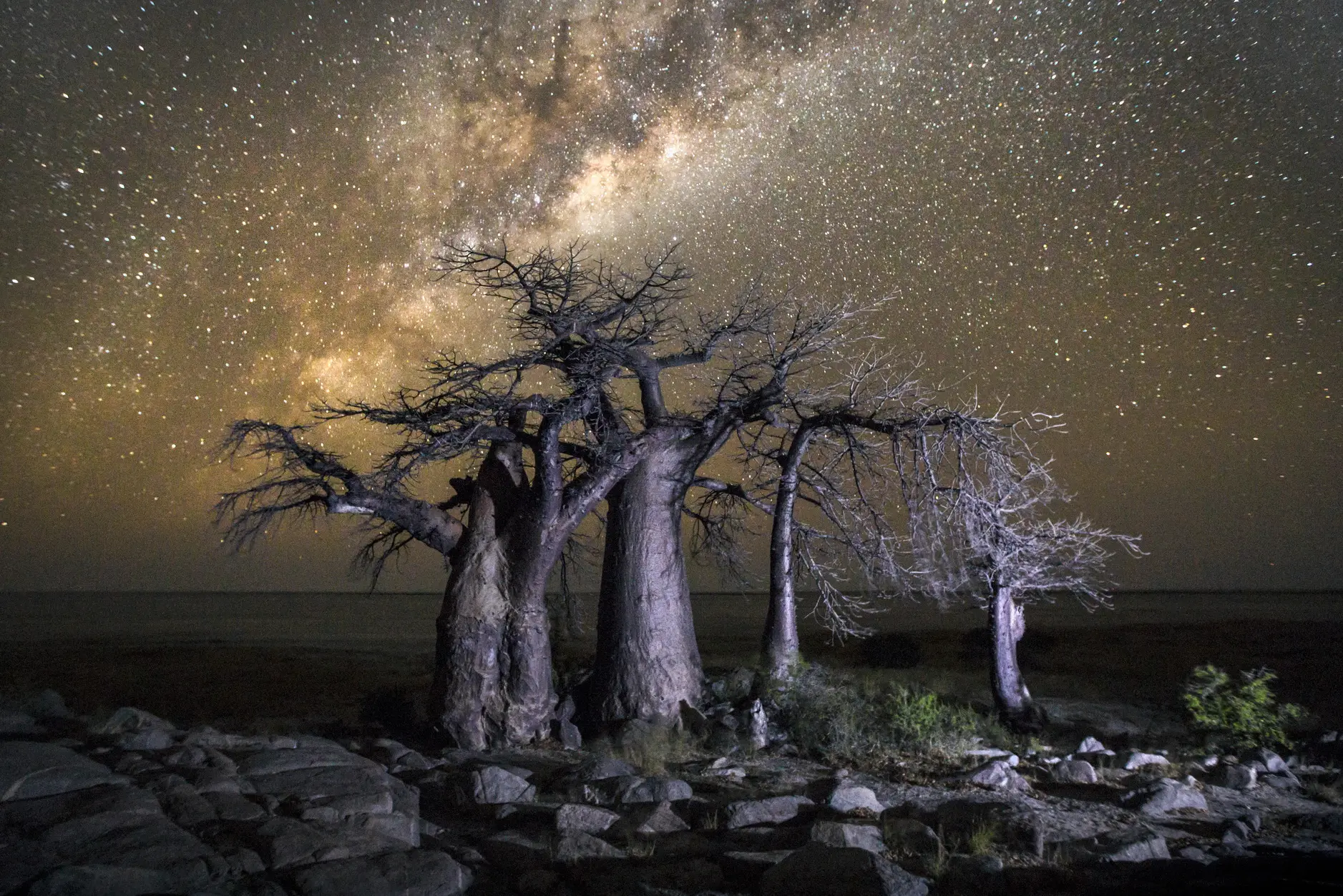 I migliori cieli stellati d’Africa