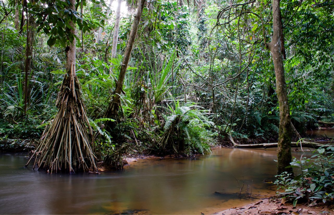 guinea equatoriale () resize