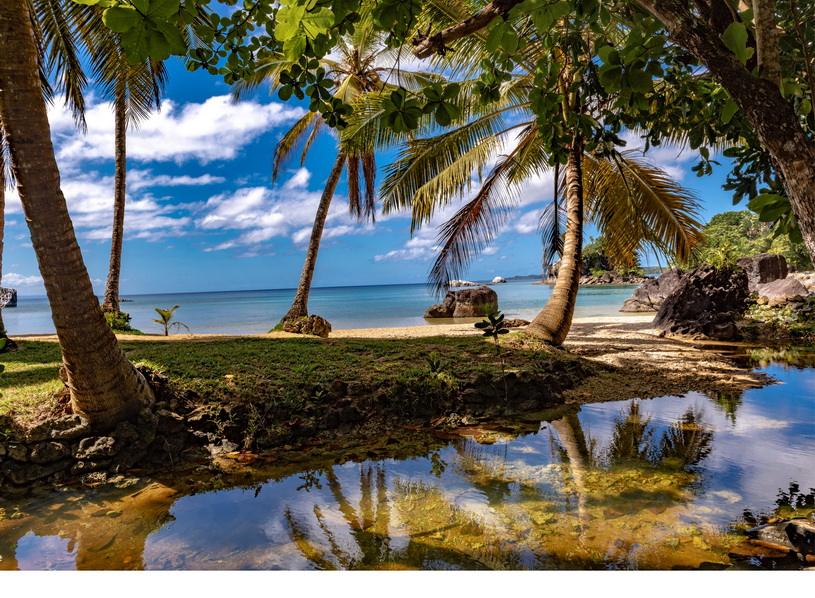 madagascarorientaleresize