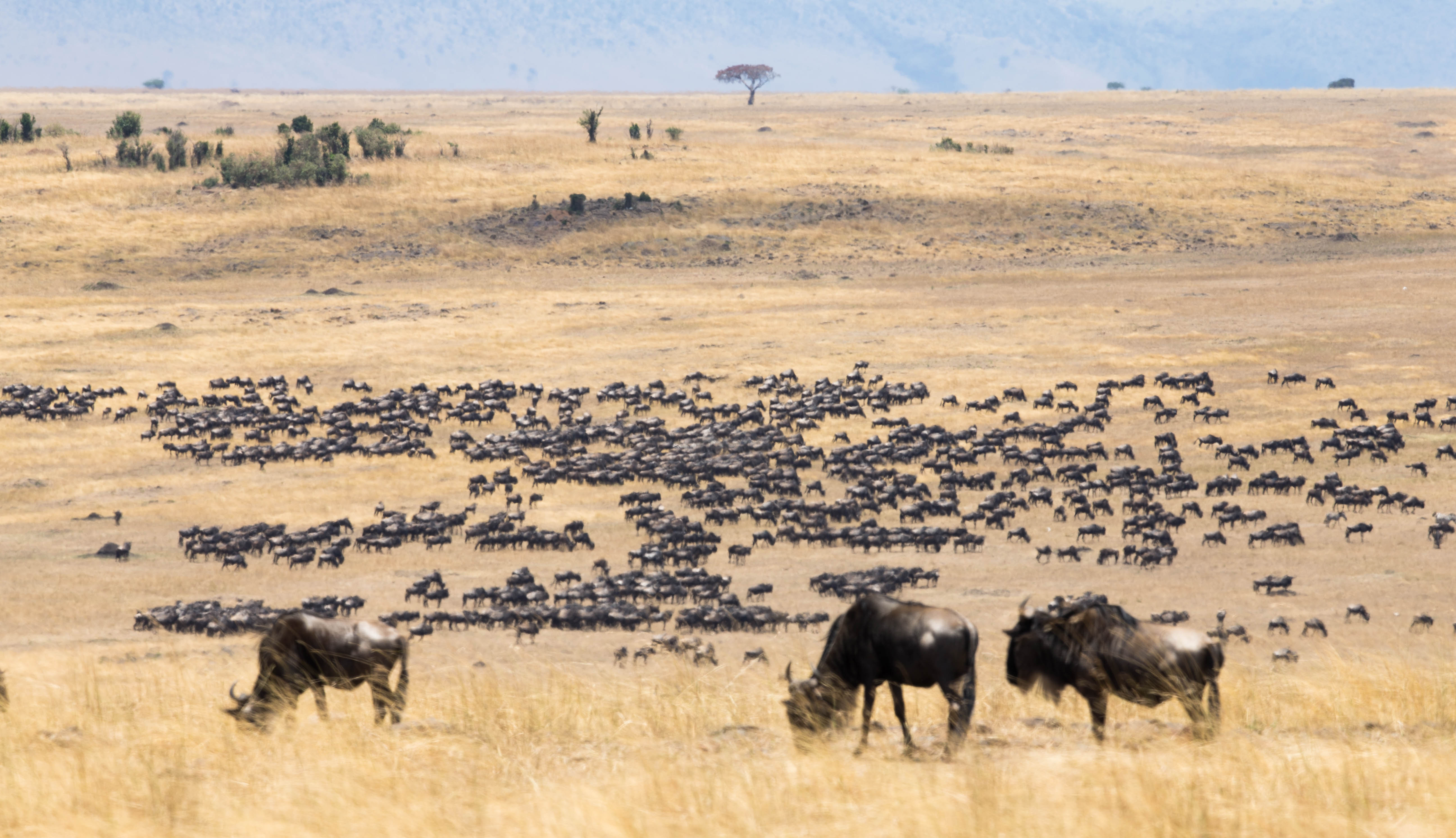 Luoghi da non perdere Tanzania