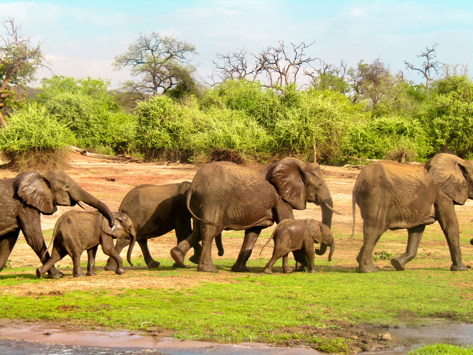 Chobe National Park