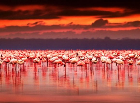 nakuru resize