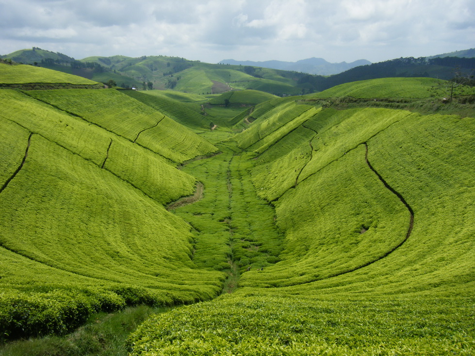 rwandaresize