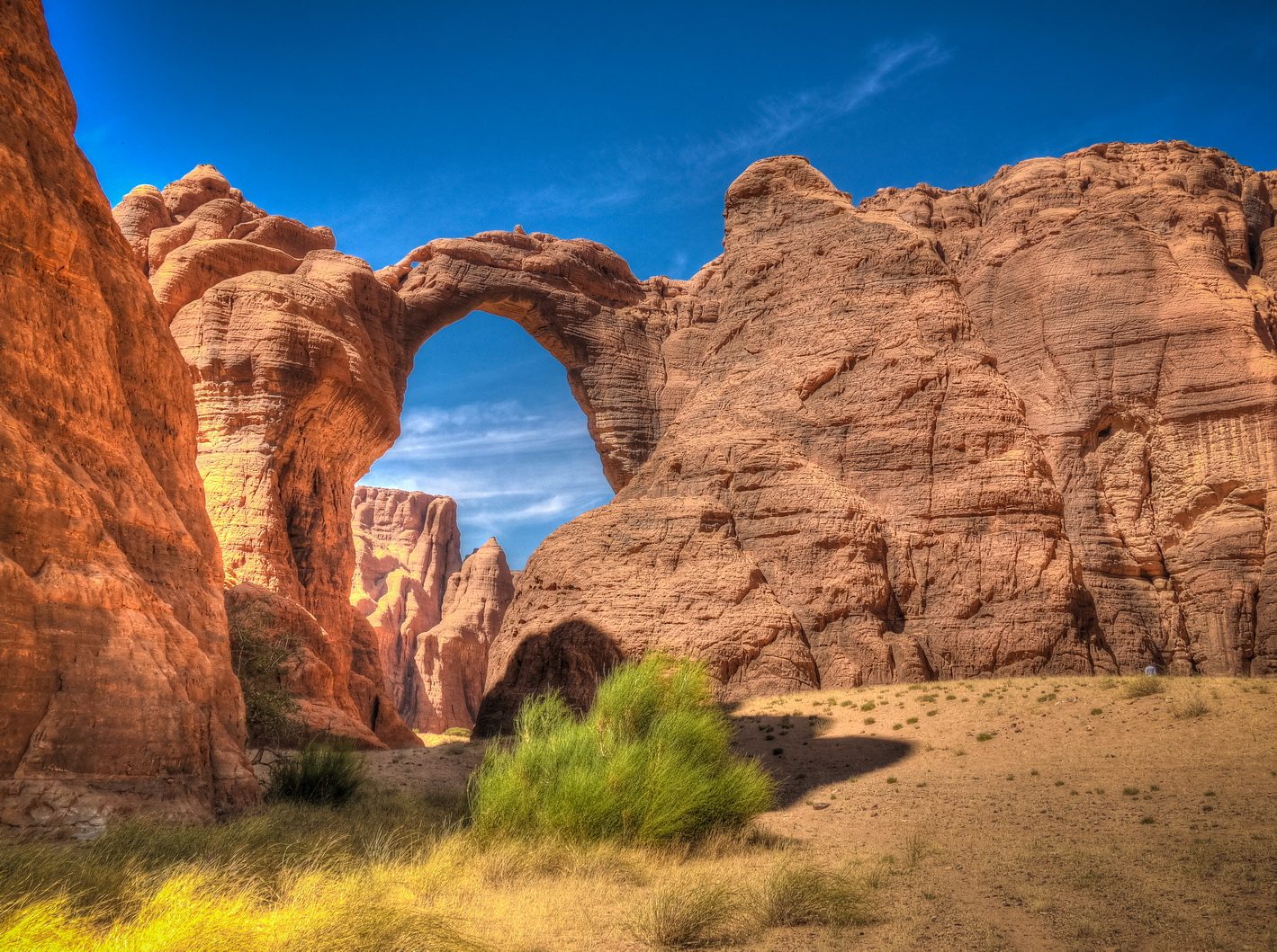 shutterstock P resize